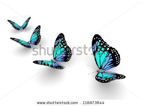 stock-photo-butterfly-isolated-on-white-d-illustration-116973844